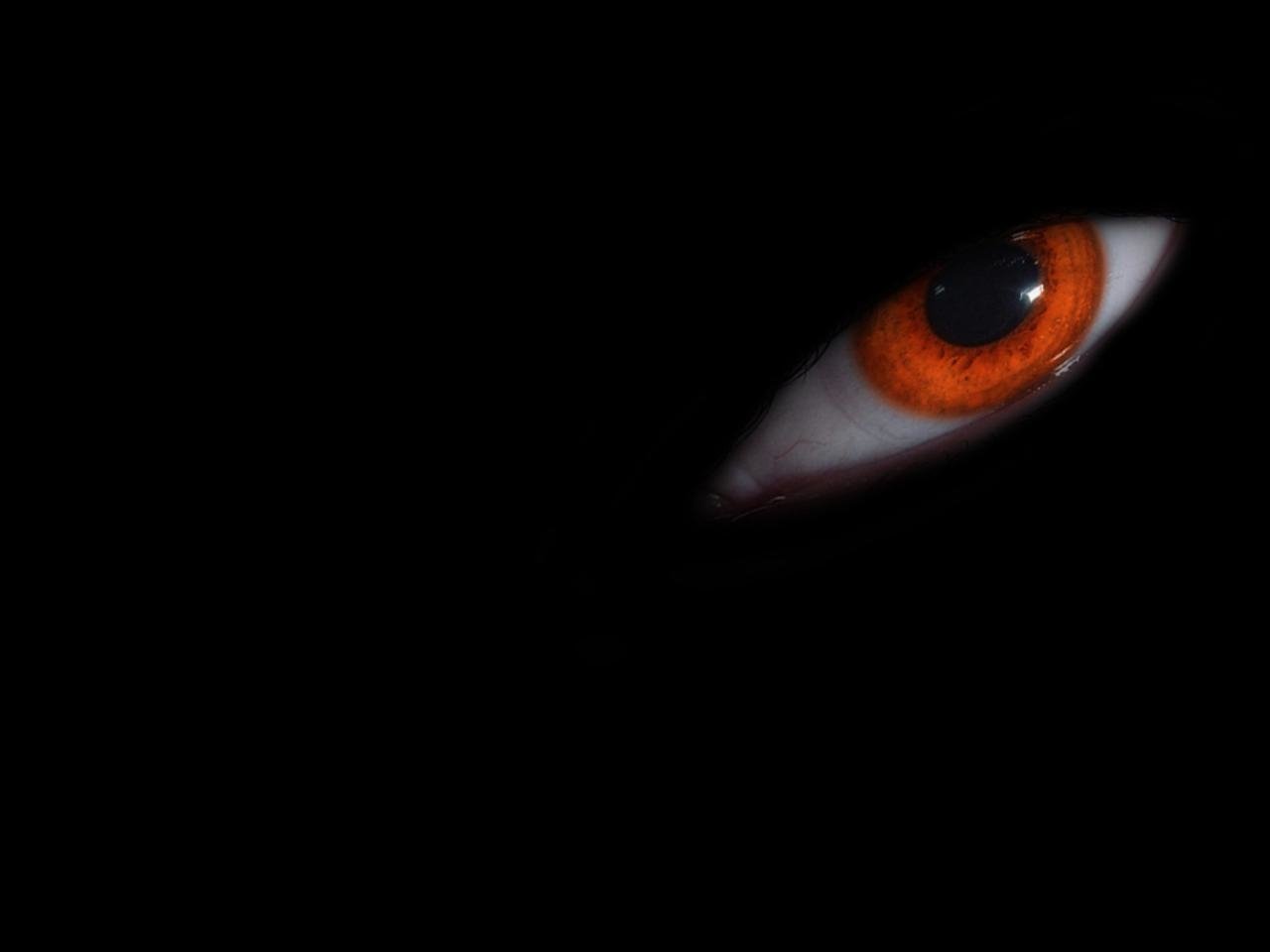 A striking orange eye peers from a dark background, creating a sense of mystery and intrigue in the shadows.