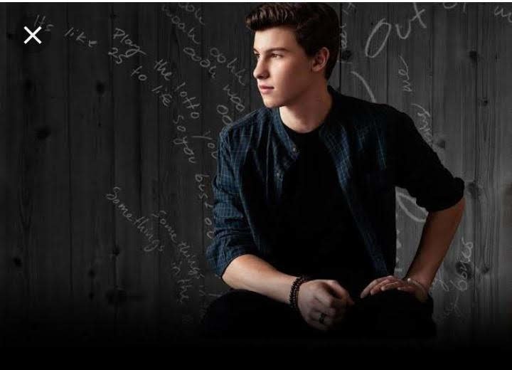 Download Singer Music Shawn Mendes Image