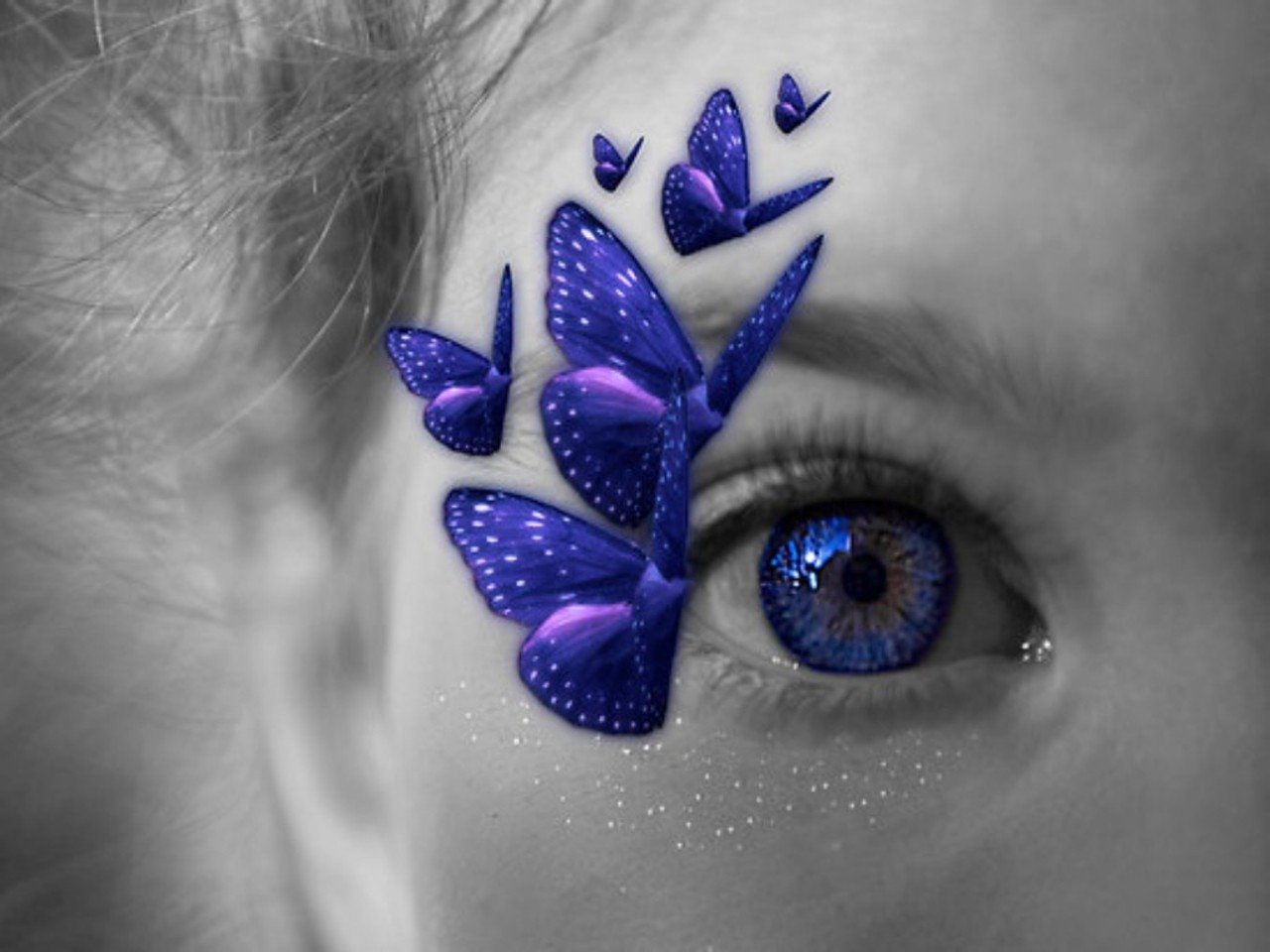 Butterfly Kisses Artistic Eye Butterfly Image. 