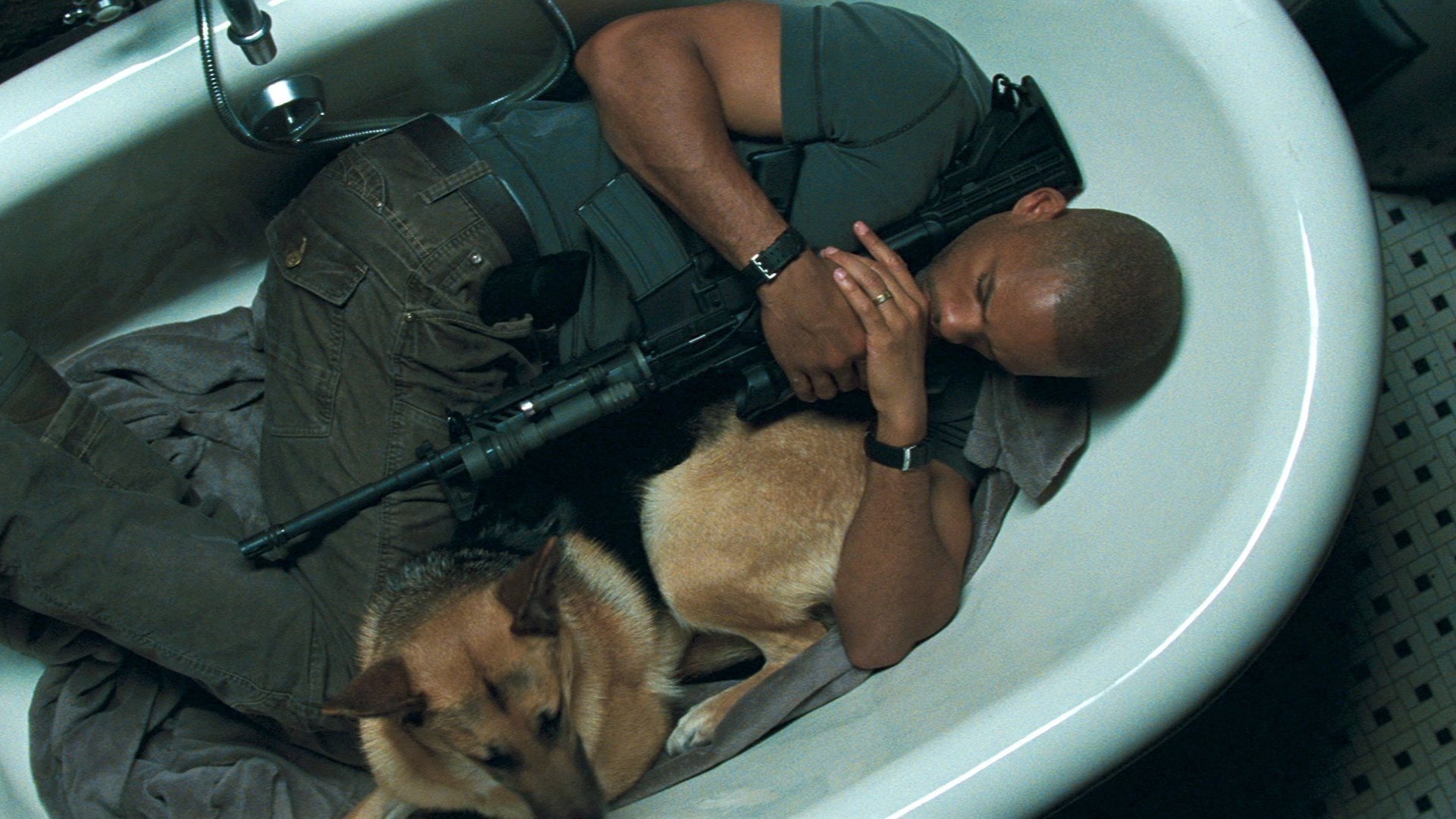 movie I Am Legend Image