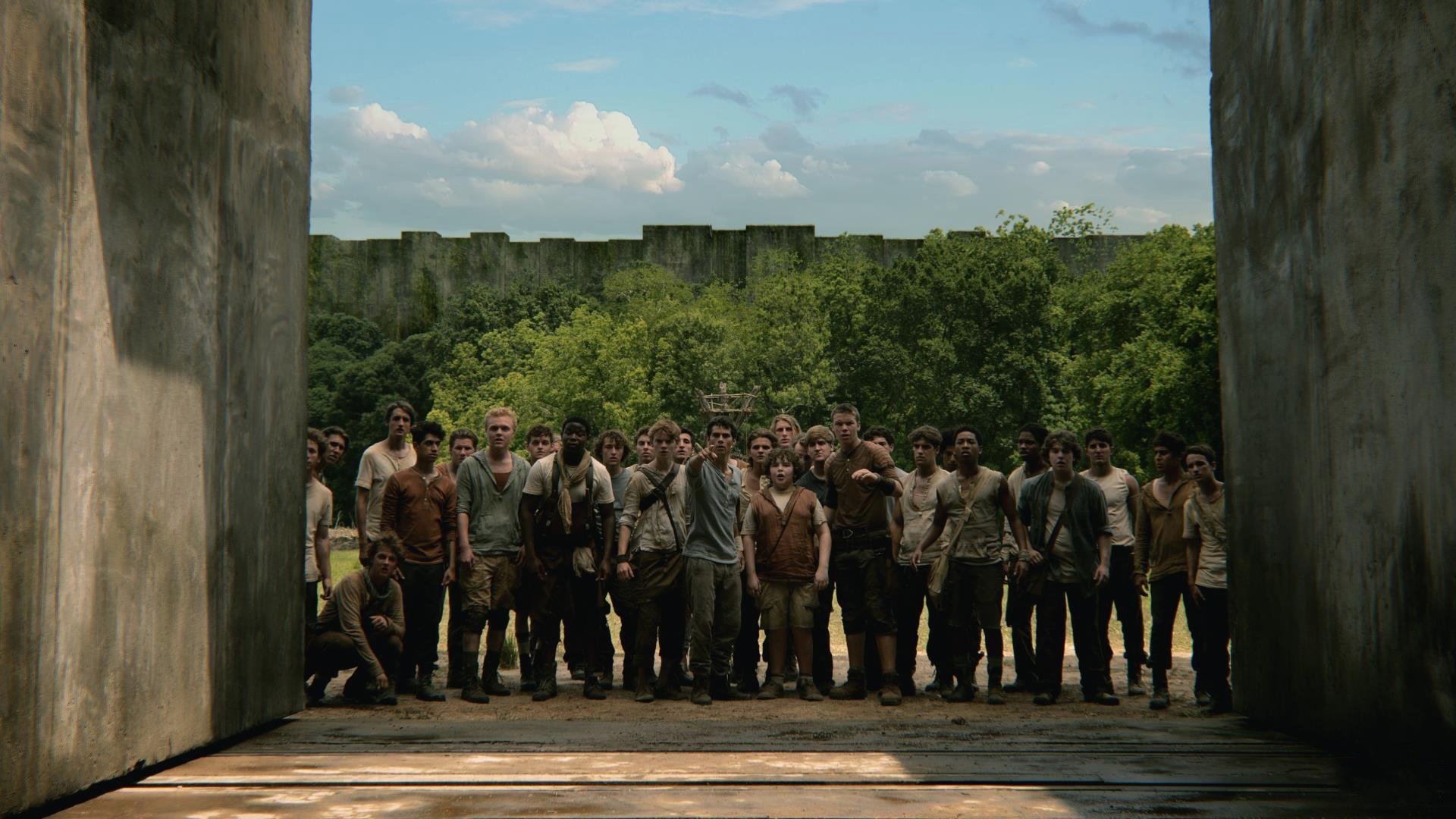 movie The Maze Runner Image