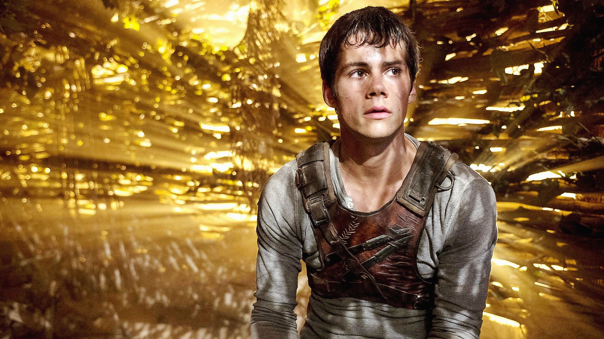 movie The Maze Runner Image