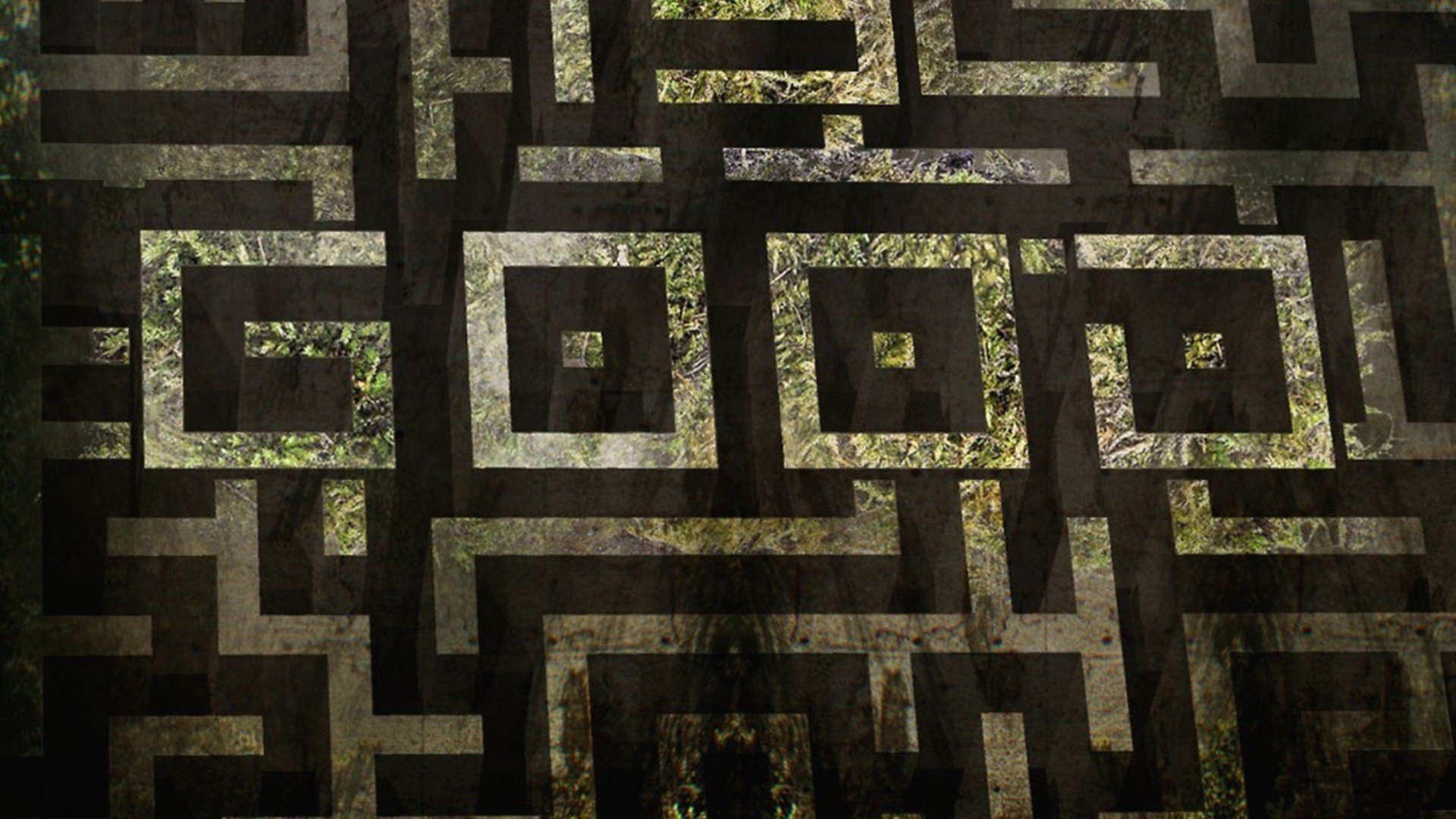 movie The Maze Runner Image