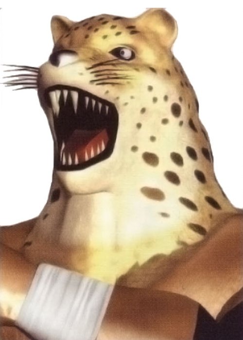 King (Tekken) video game Tekken Image
