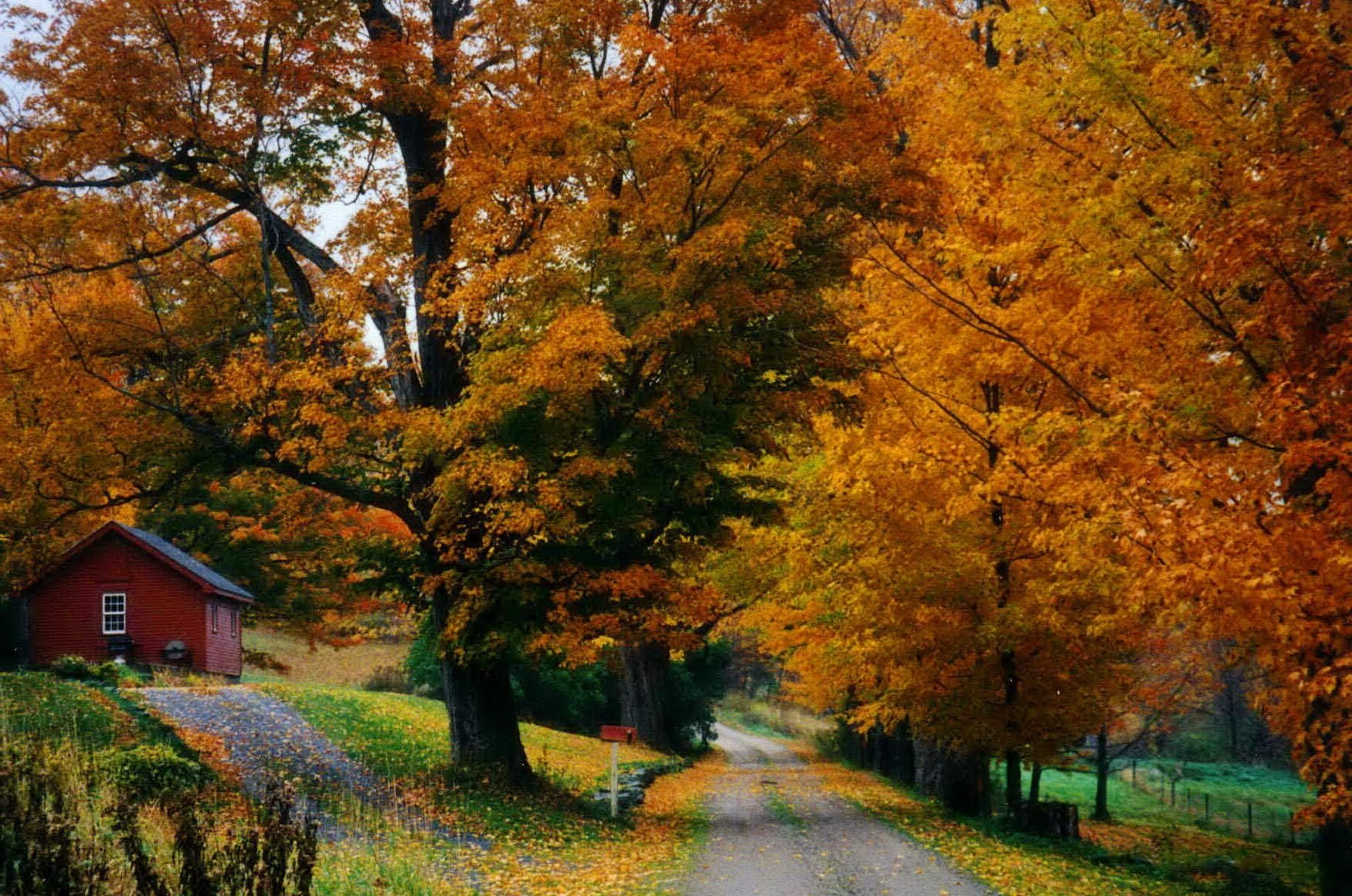 Парк осень Вермонт