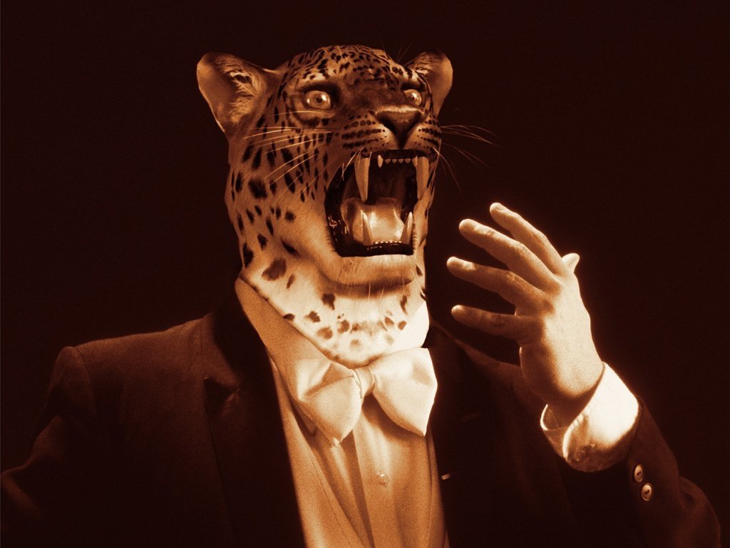 King (Tekken) video game Tekken 3 Image