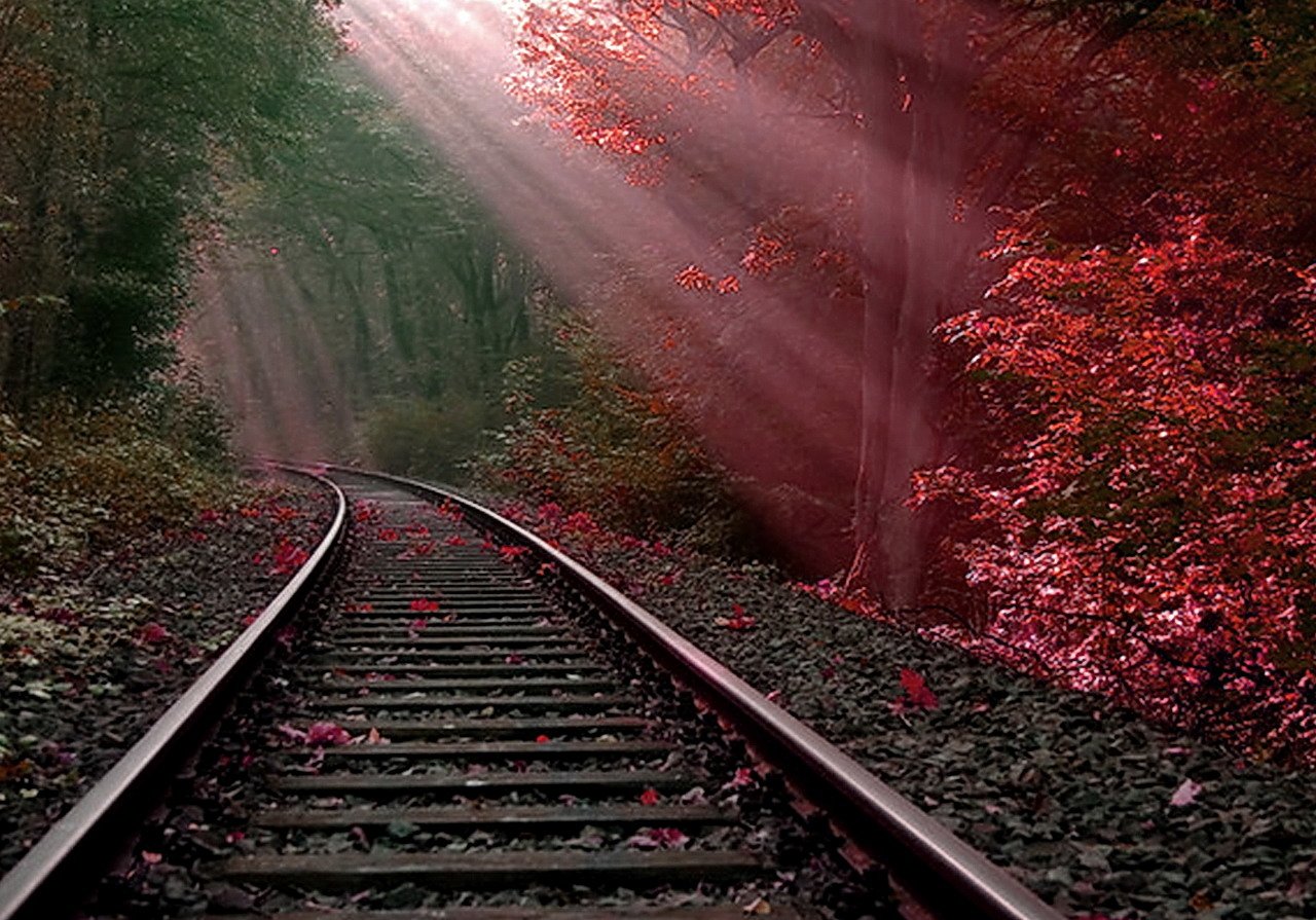 A sunbeam filters through vibrant autumn foliage, illuminating a man-made railroad path that winds through a serene, bush-lined forest setting.
