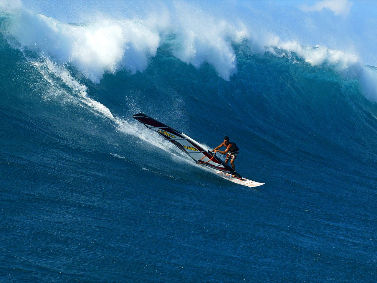 Windsurfing Picture