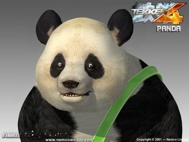 Panda (Tekken) video game tekken 4 Image