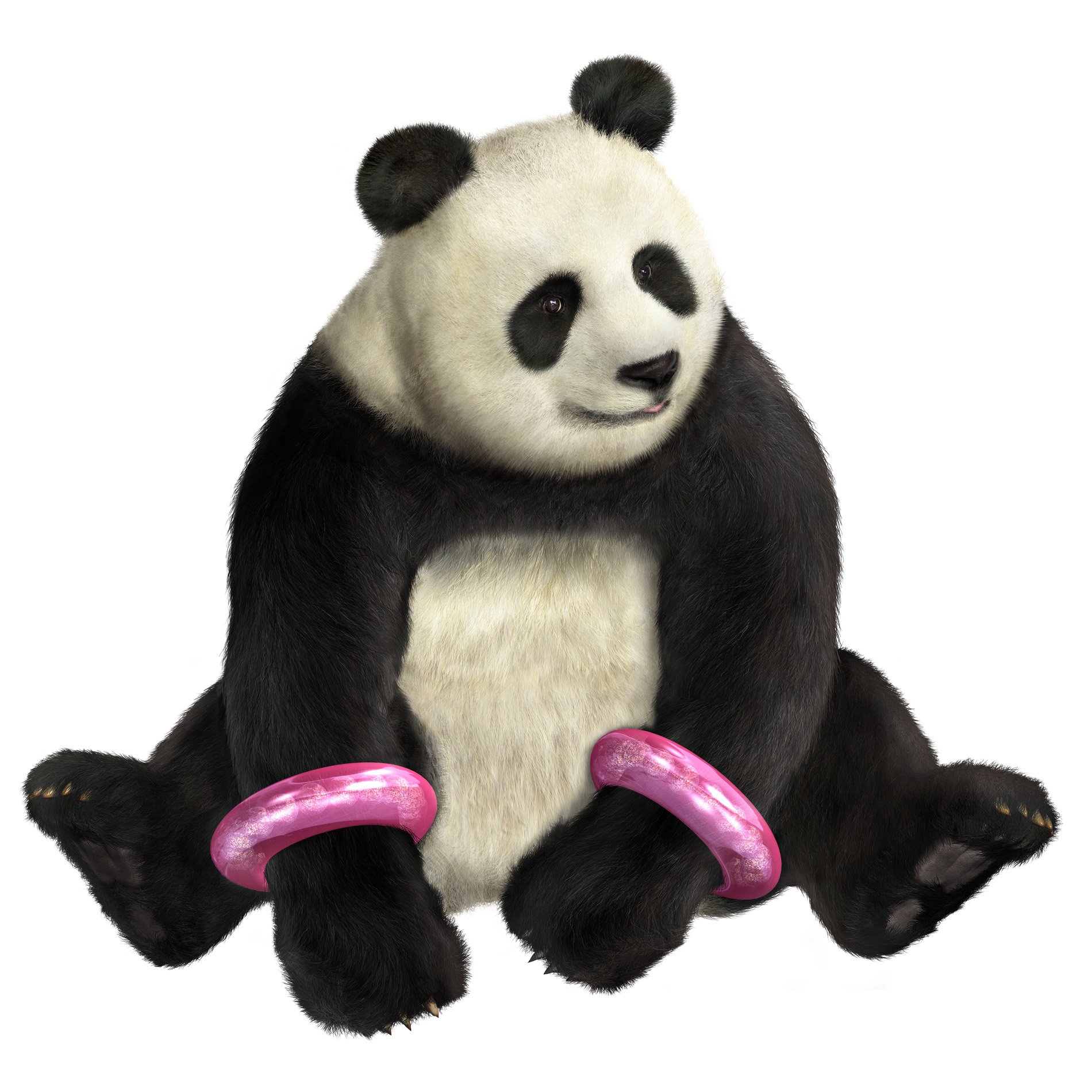 Panda (Tekken) video game Tekken 5 Image