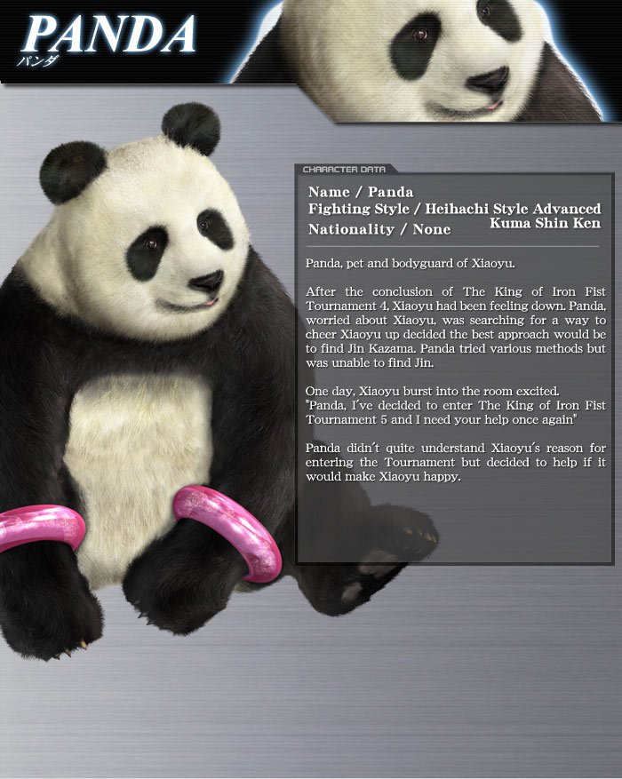 Panda (Tekken) video game Tekken 5 Image