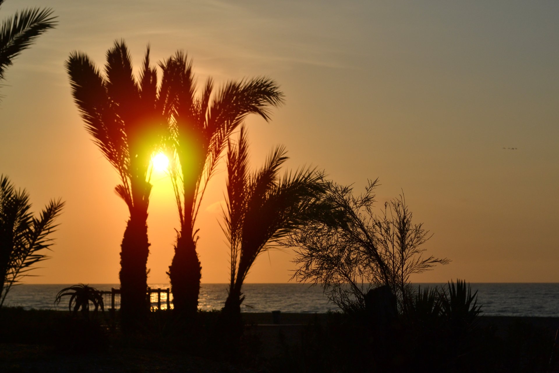  Sunset - romantic moment on the beach