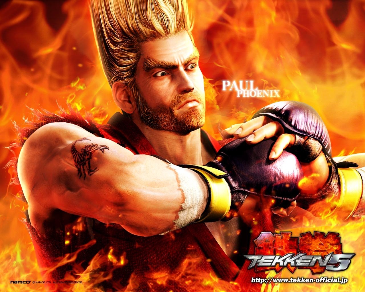 Paul Phoenix video game Tekken 5 Image