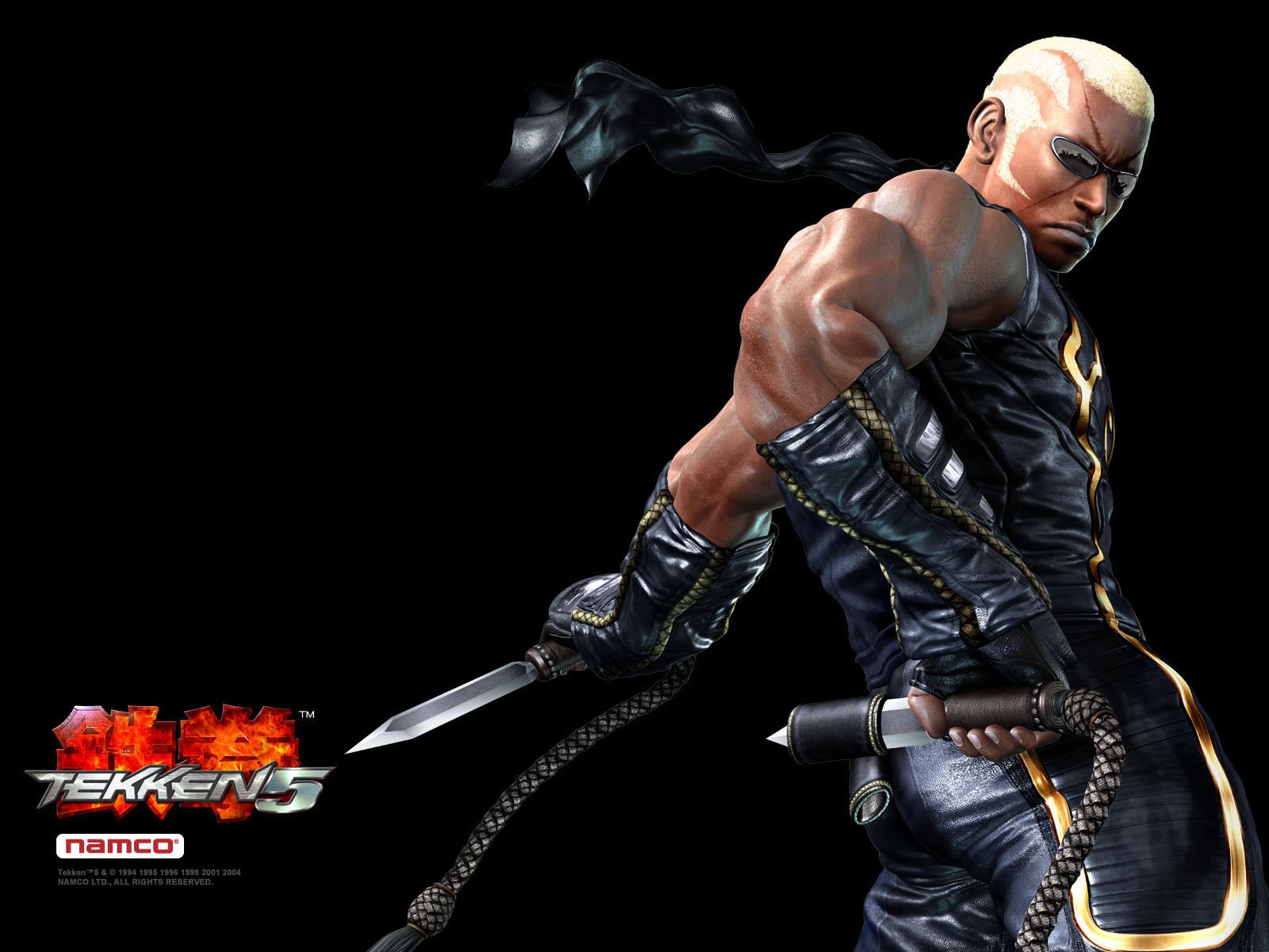 Raven (Tekken) video game Tekken 5 Image