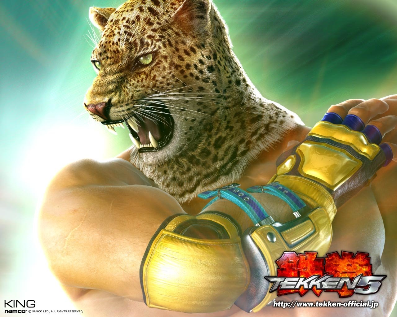 King (Tekken) video game Tekken 5 Image