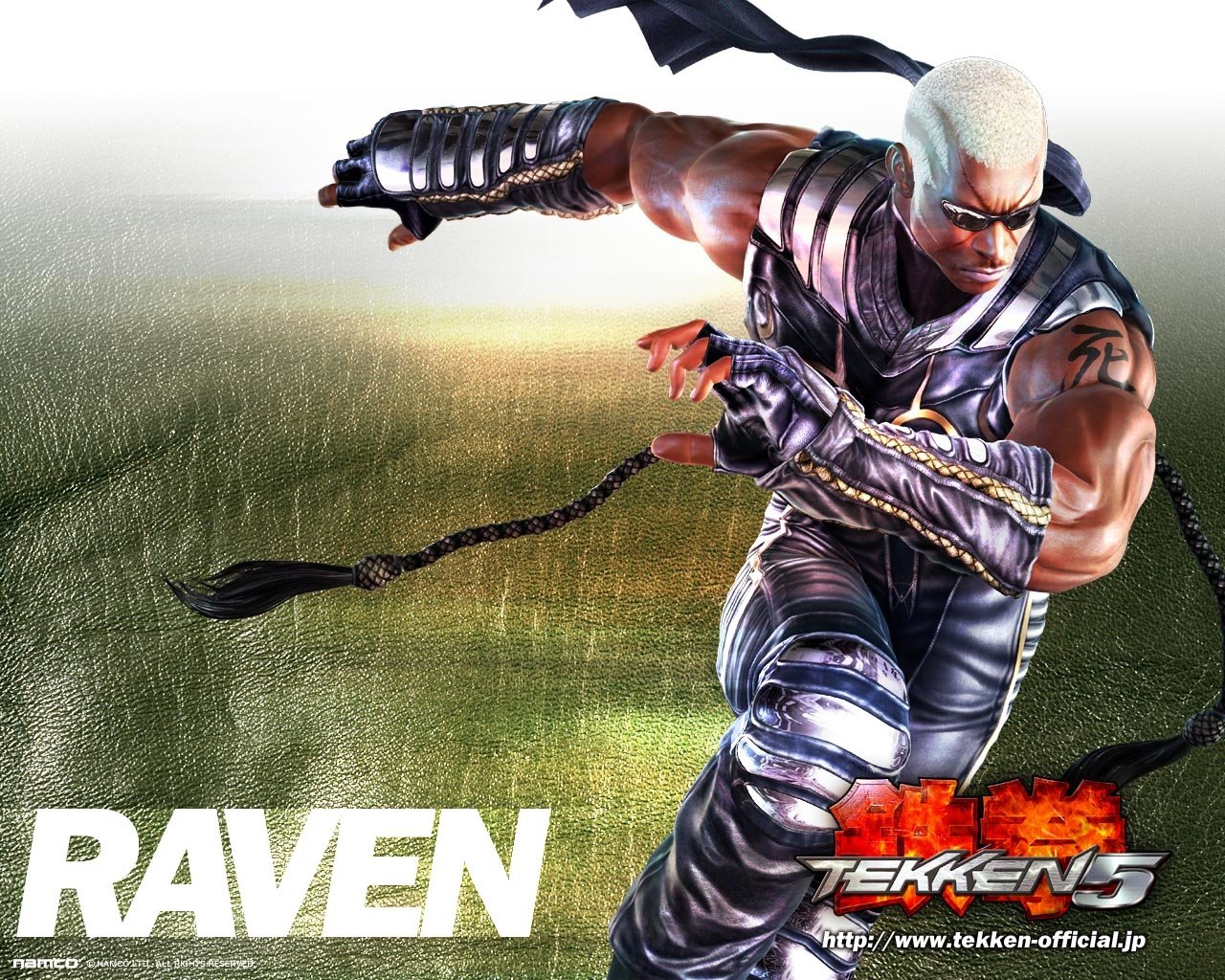 Raven (Tekken) video game Tekken 5 Image