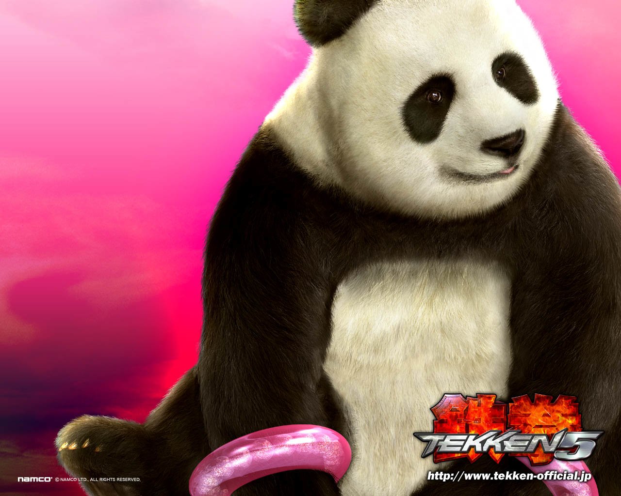 Panda (Tekken) video game Tekken 5 Image