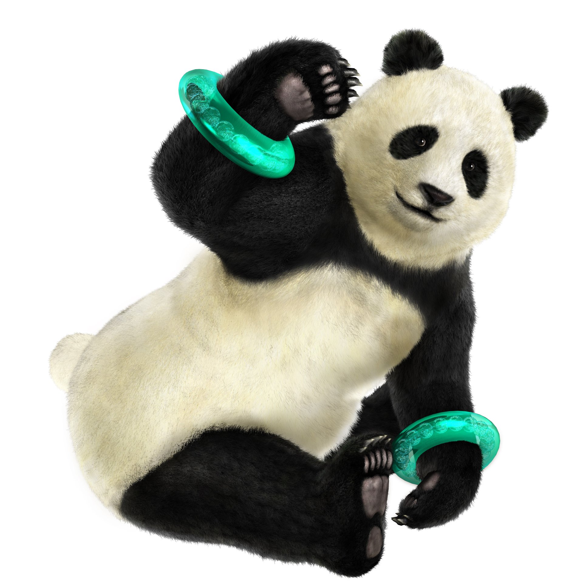 Panda (Tekken) video game Tekken 5: Dark Resurrection Image
