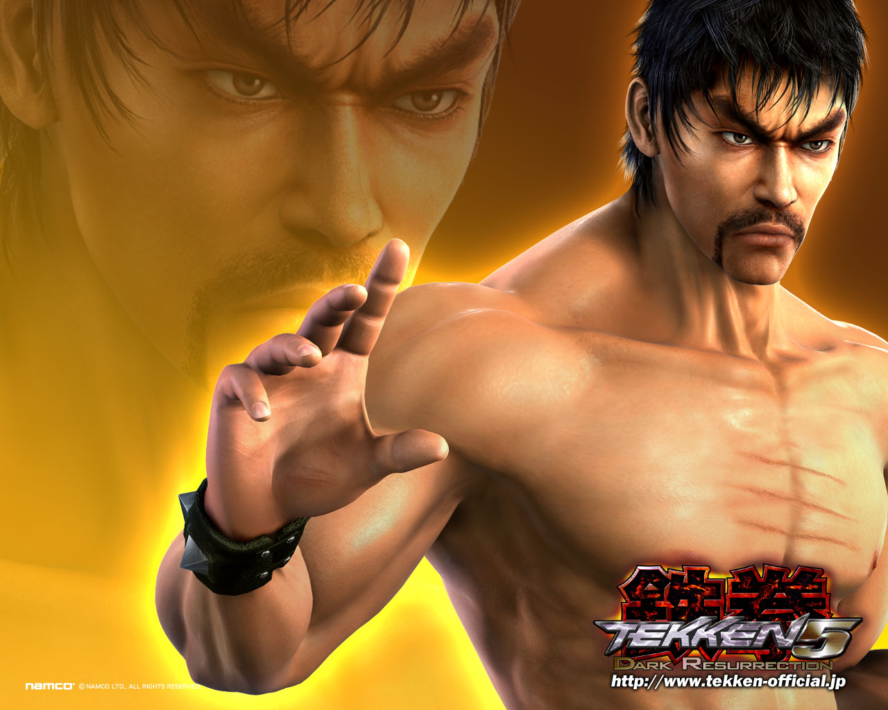 Tekken 5: Dark Resurrection Picture
