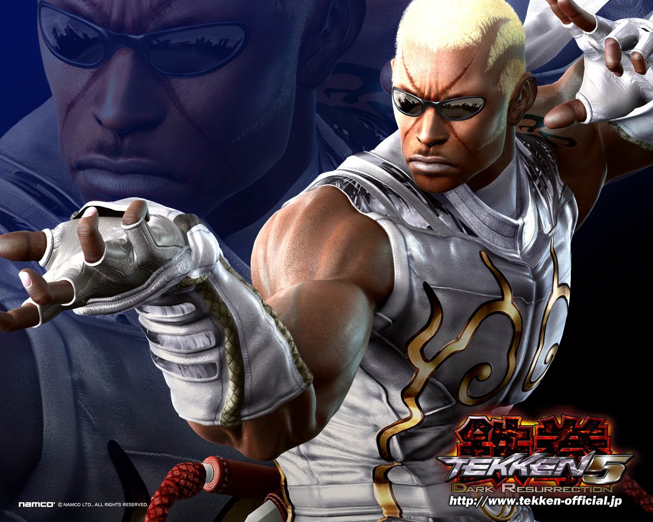 Raven (Tekken) video game Tekken 5: Dark Resurrection Image