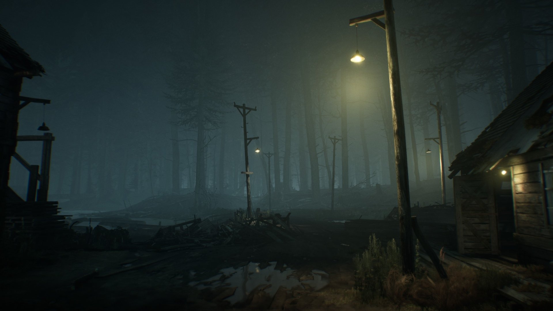  Trees