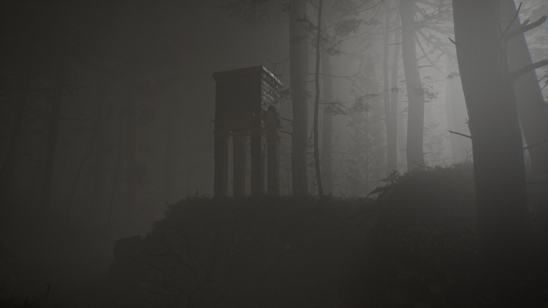  Forest (ingame, not color edited)