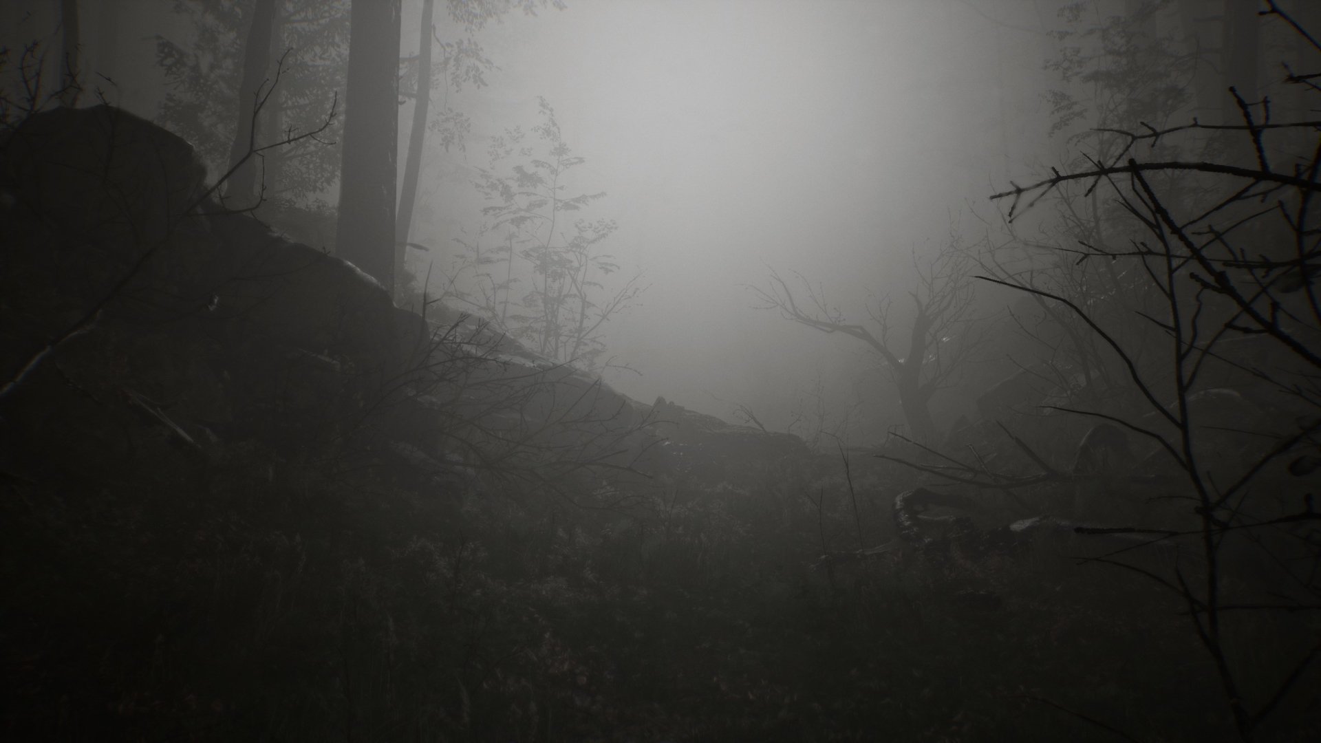  In-game forest (not color edited)