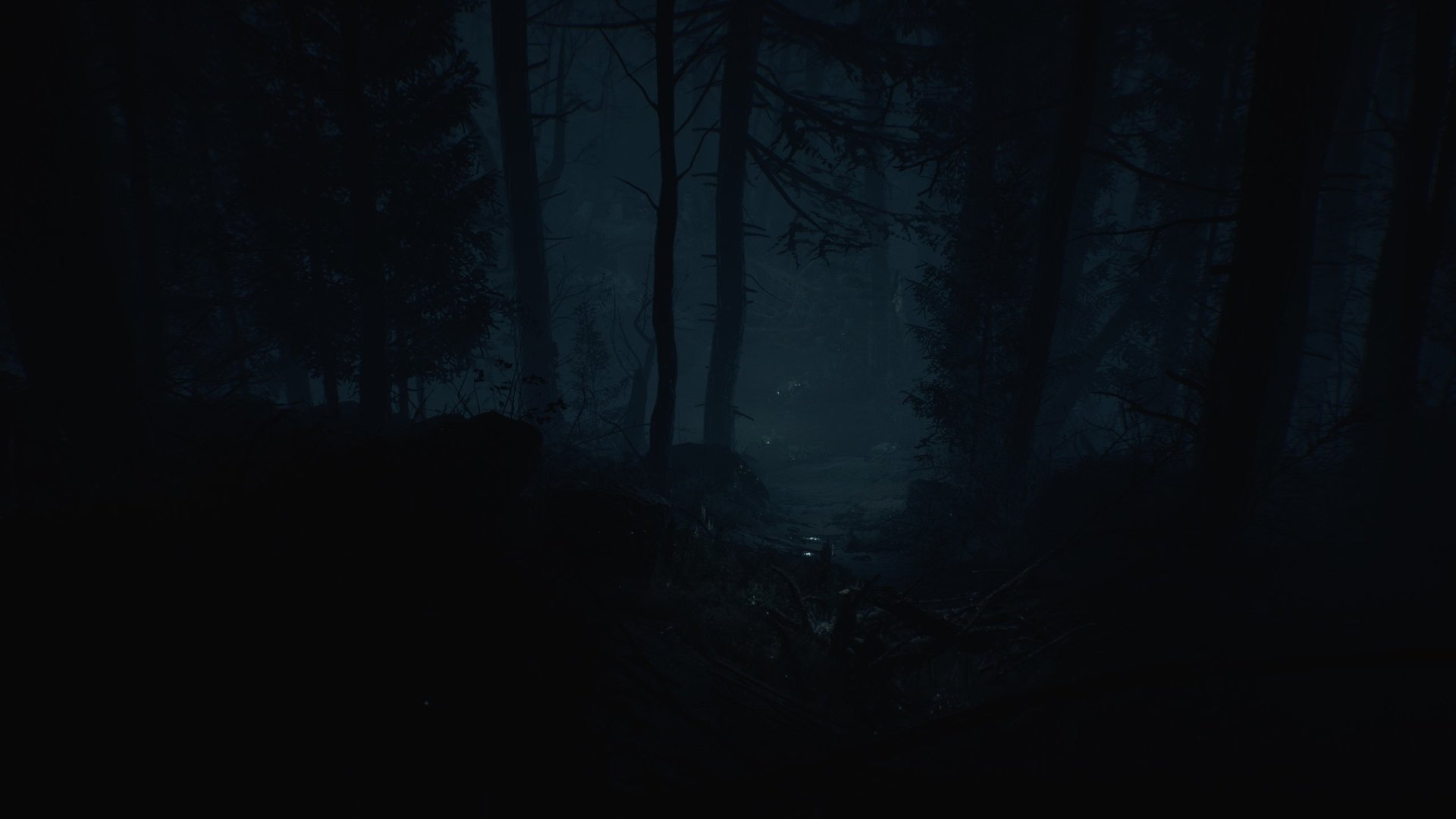 Blair Witch (Video Game) forest video game blair witch Image