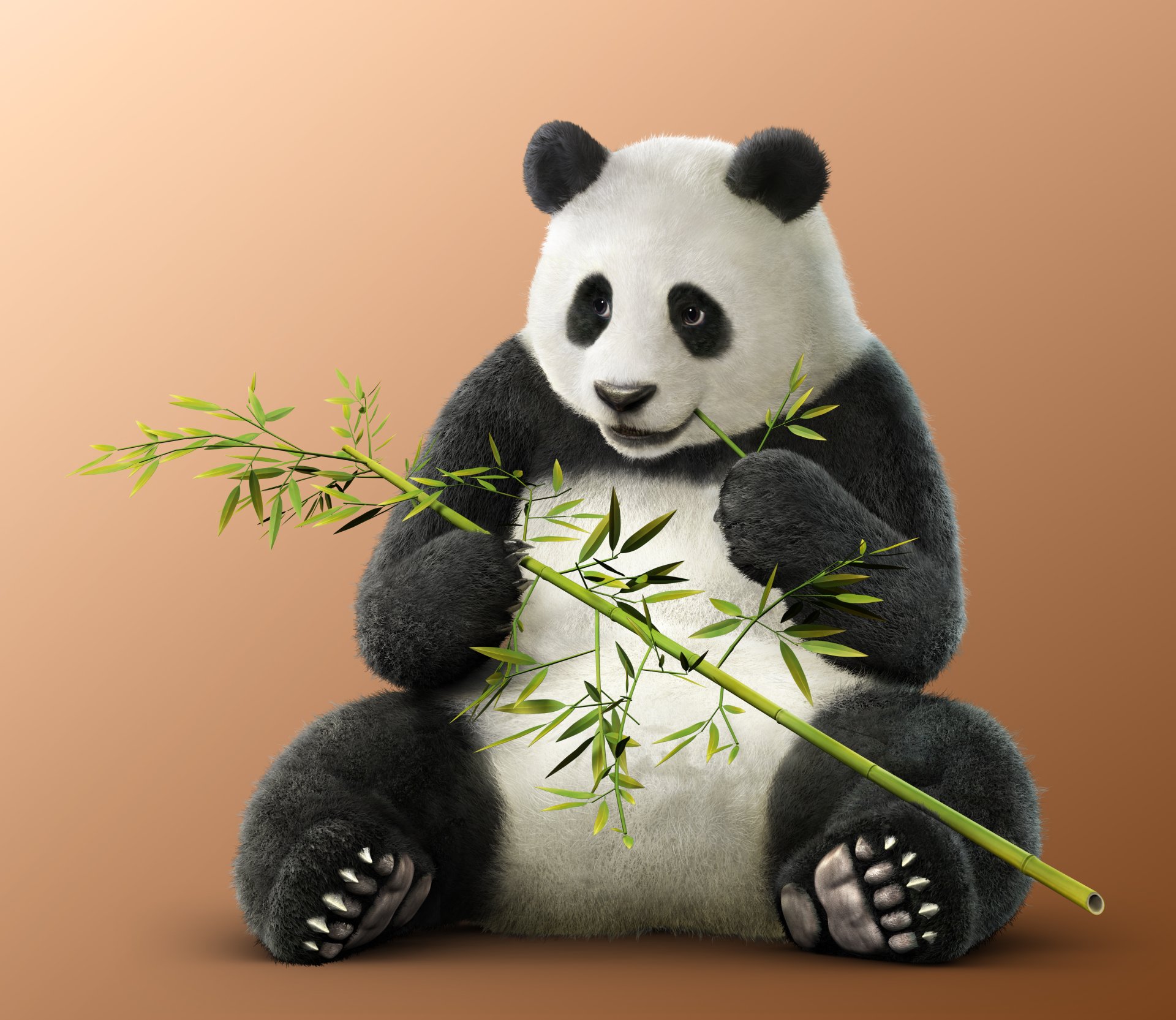 Panda (Tekken) video game Tekken 7: Fated Retribution Image