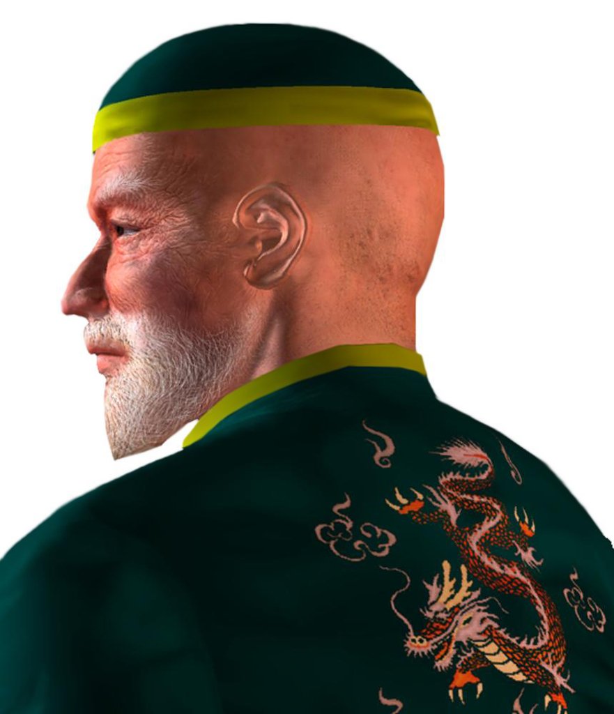 Wang Jinrei video game tekken tag tournament Image