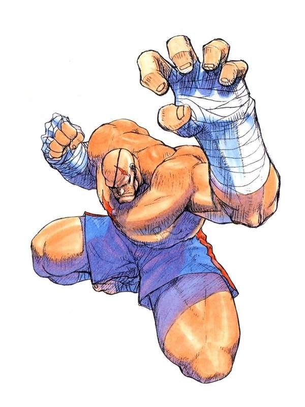 Sagat (Street Fighter) video game Super Street Fighter II Turbo Image