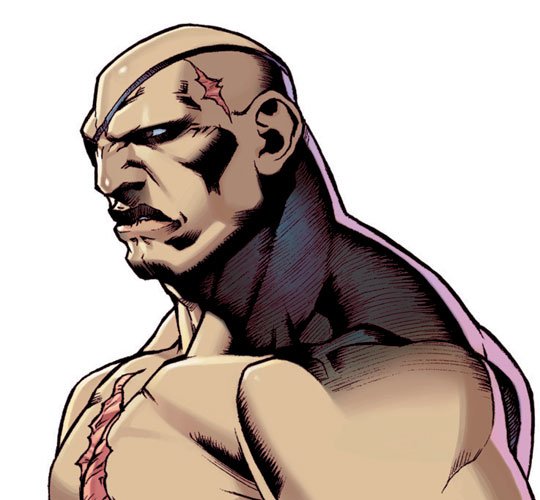 Sagat (Street Fighter) video game Super Street Fighter II: Turbo Revival Image