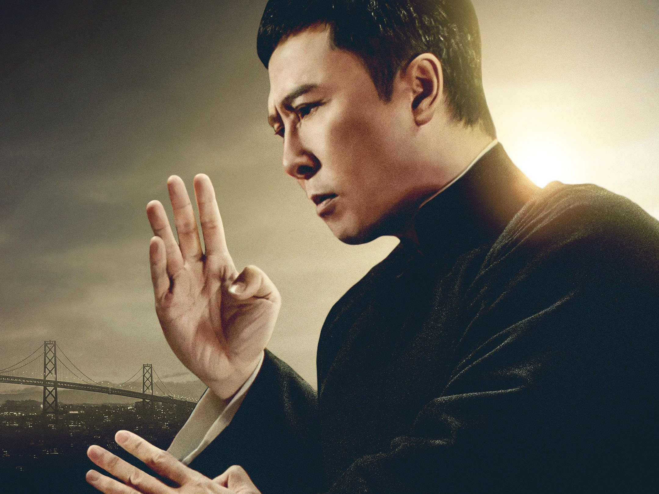 Ip Man 4: The Finale Picture