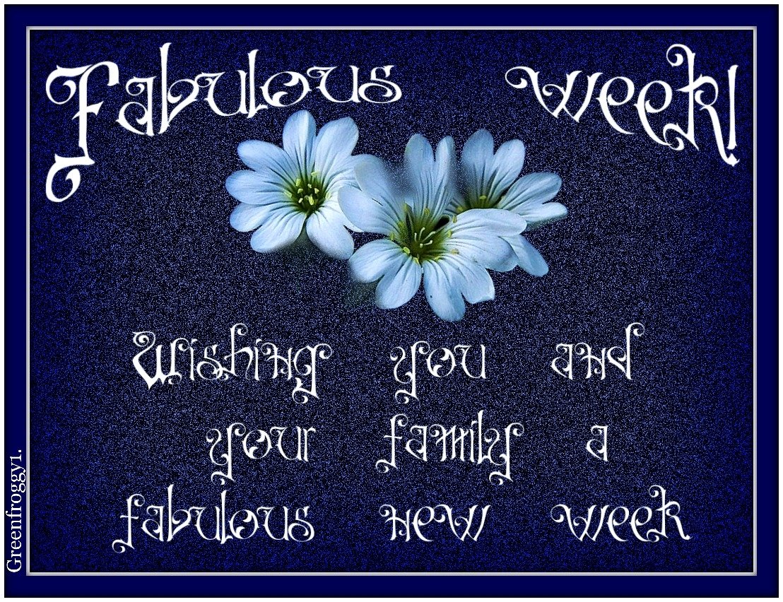 FABULOUS WEEK Image - ID: 335631 - Image Abyss