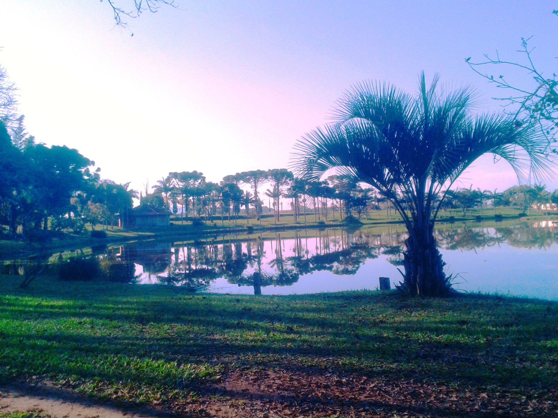 photography landscape Image