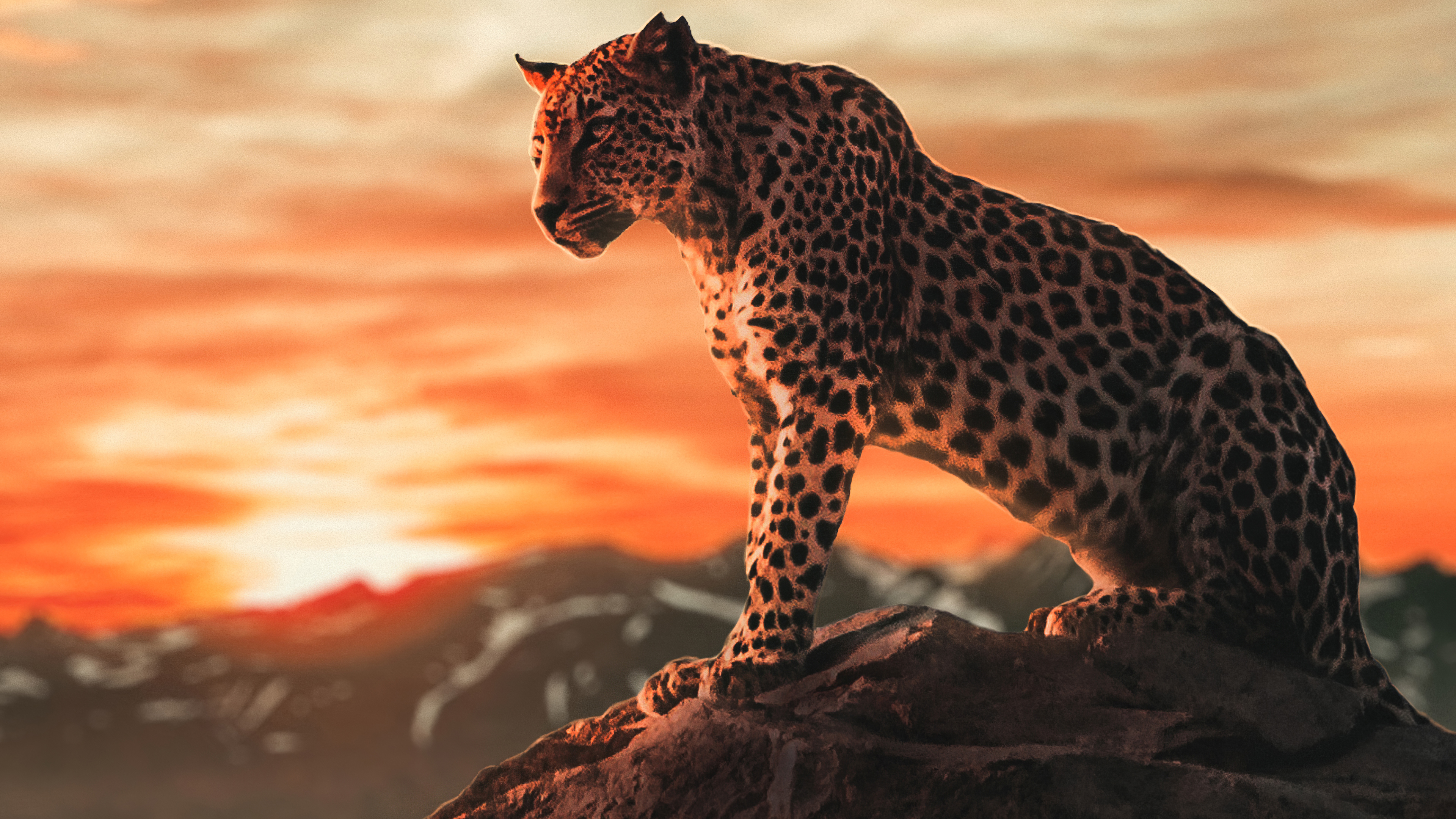 leopard-picture-image-abyss