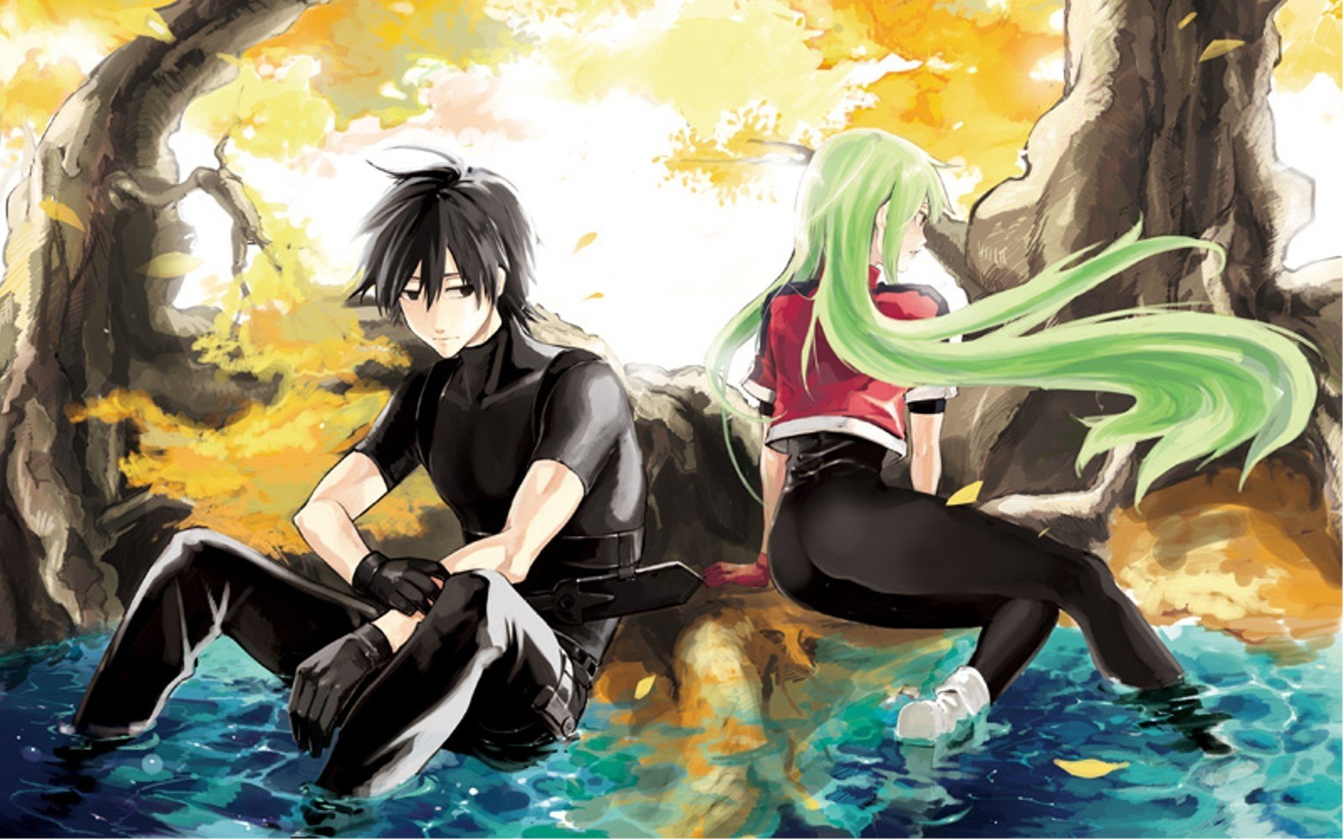 Anime Darker than Black Image