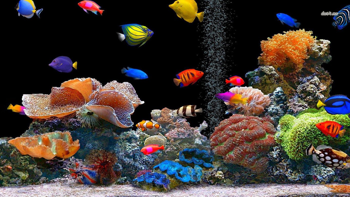 A vibrant underwater scene featuring a variety of colorful fish swimming among coral reefs and marine plants, showcasing the beauty of aquatic life and ecosystems.