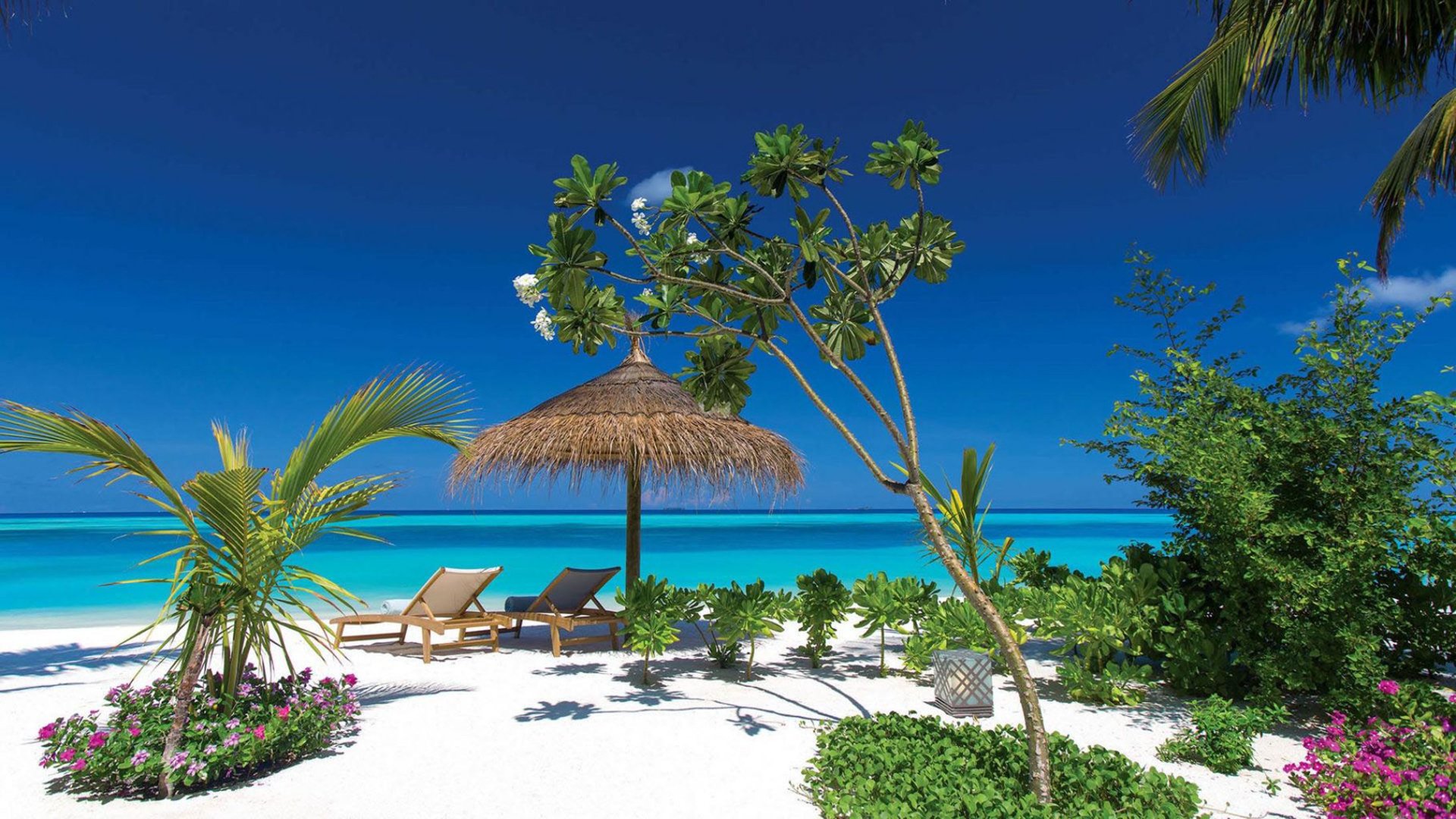  Beach in the Maldives