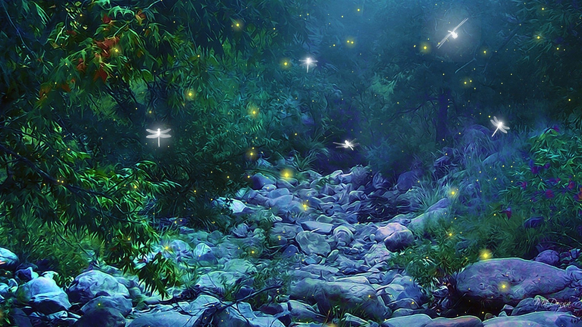  Firefly Forest