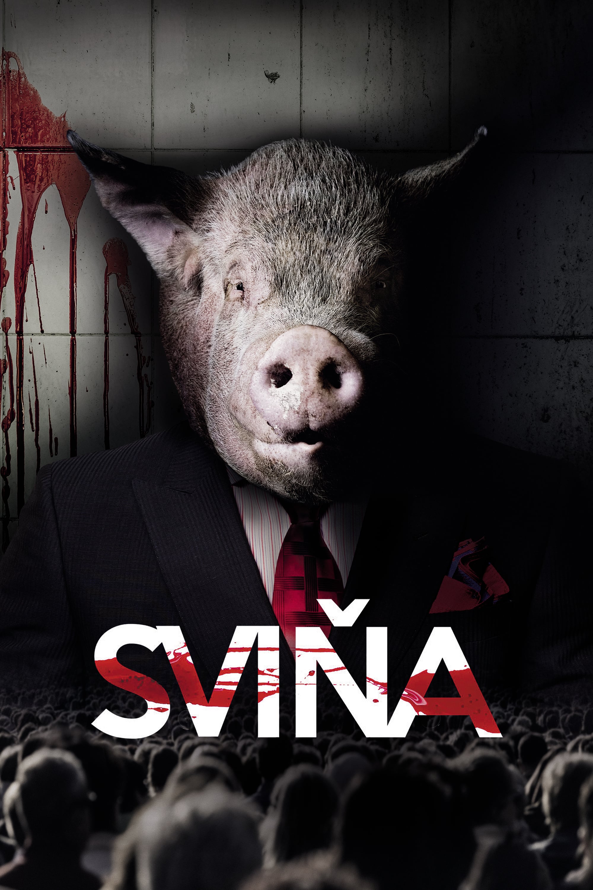 Sviňa Picture - Image Abyss