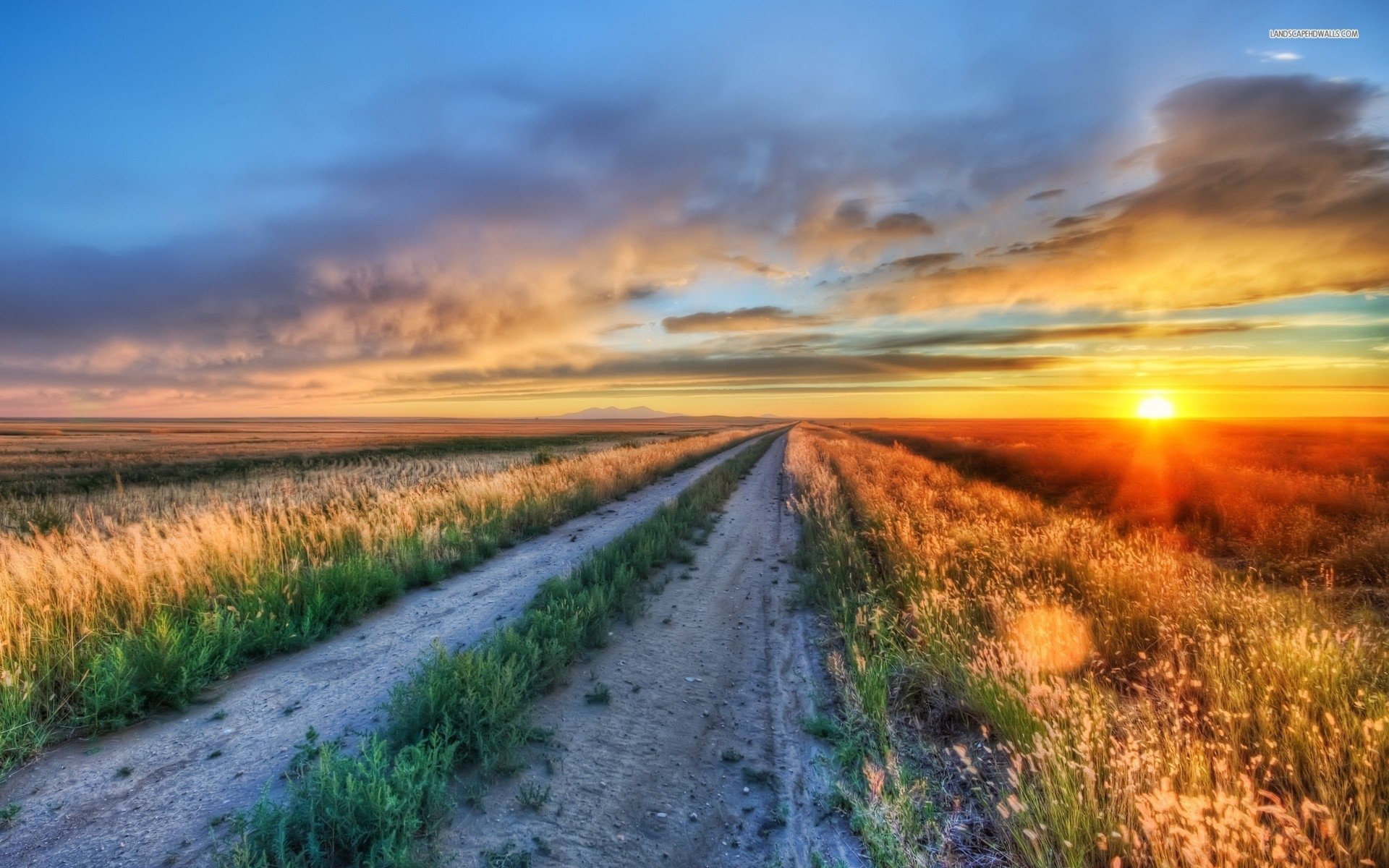 A vibrant sunrise casts warm light over a sprawling field, as a dirt path stretches into the horizon. The scene captures the beauty of nature in rich HDR detail.