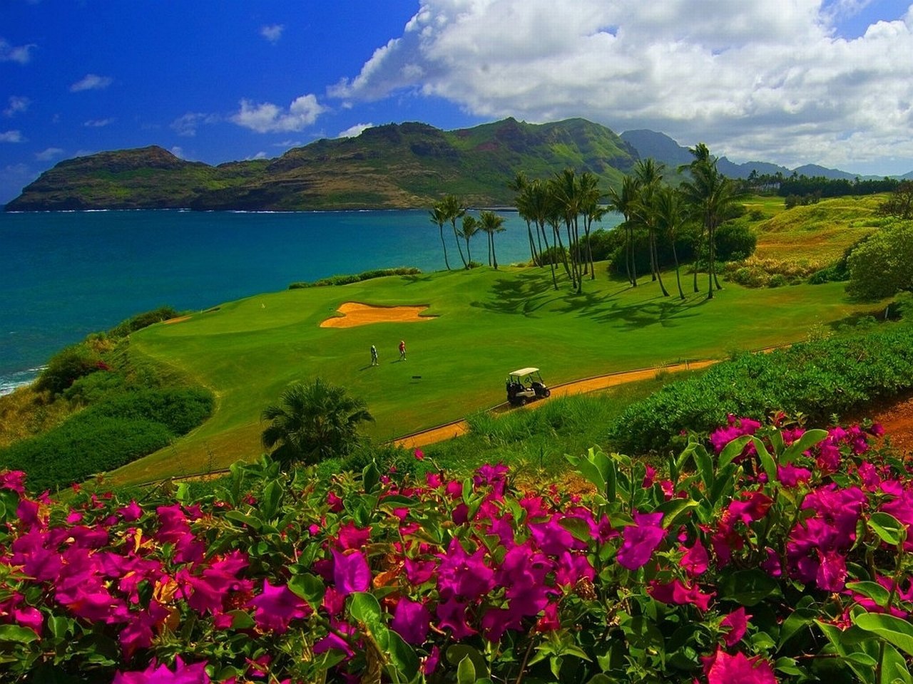 man made golf course Image