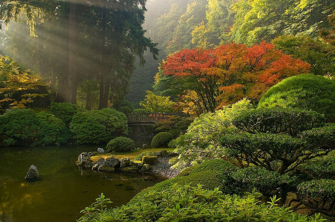 A serene man-made garden with a small stone bridge, surrounded by lush green shrubs and vibrant autumn trees bathed in soft sunlight filtering through tall trees.