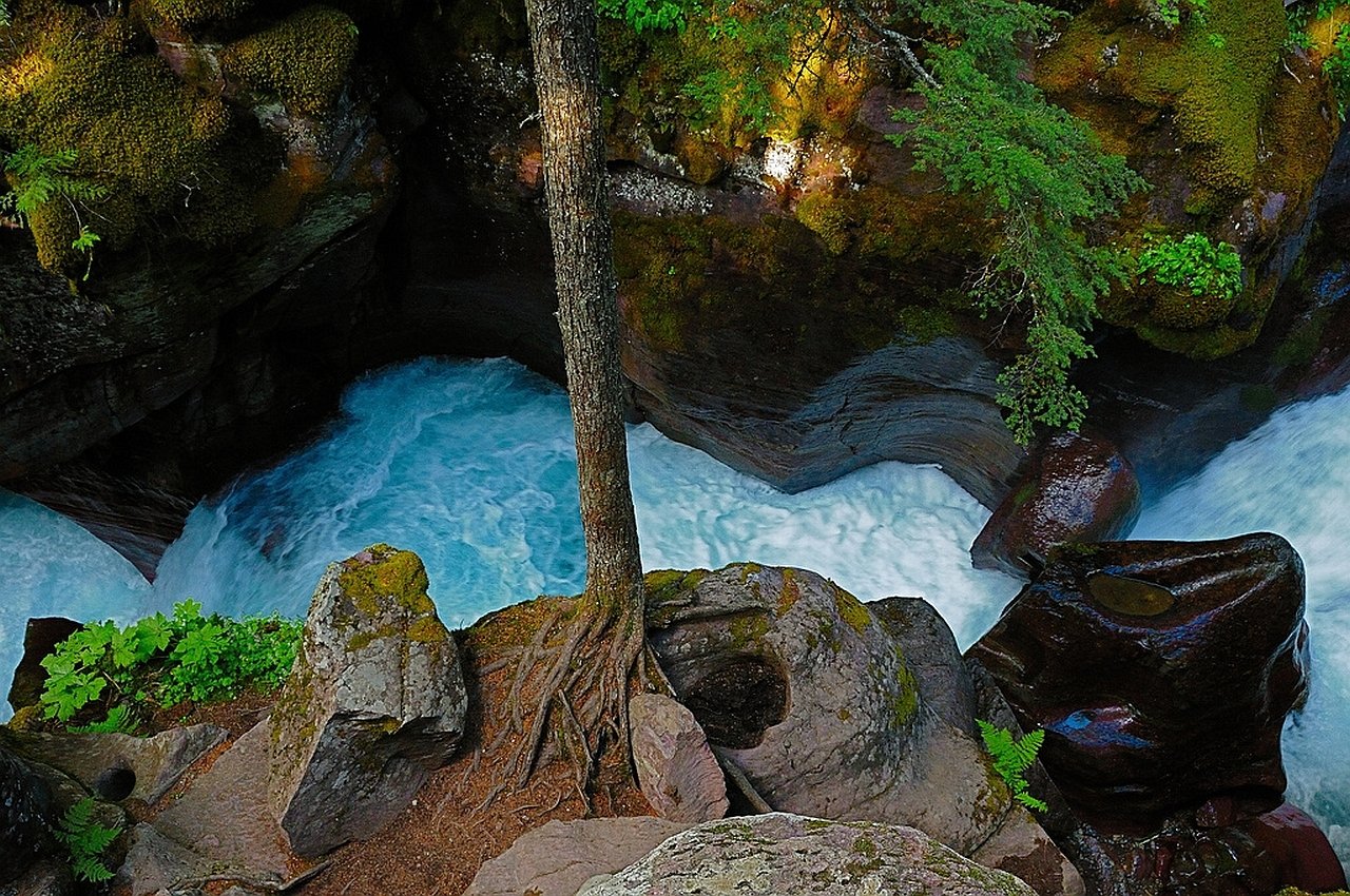 nature river Image