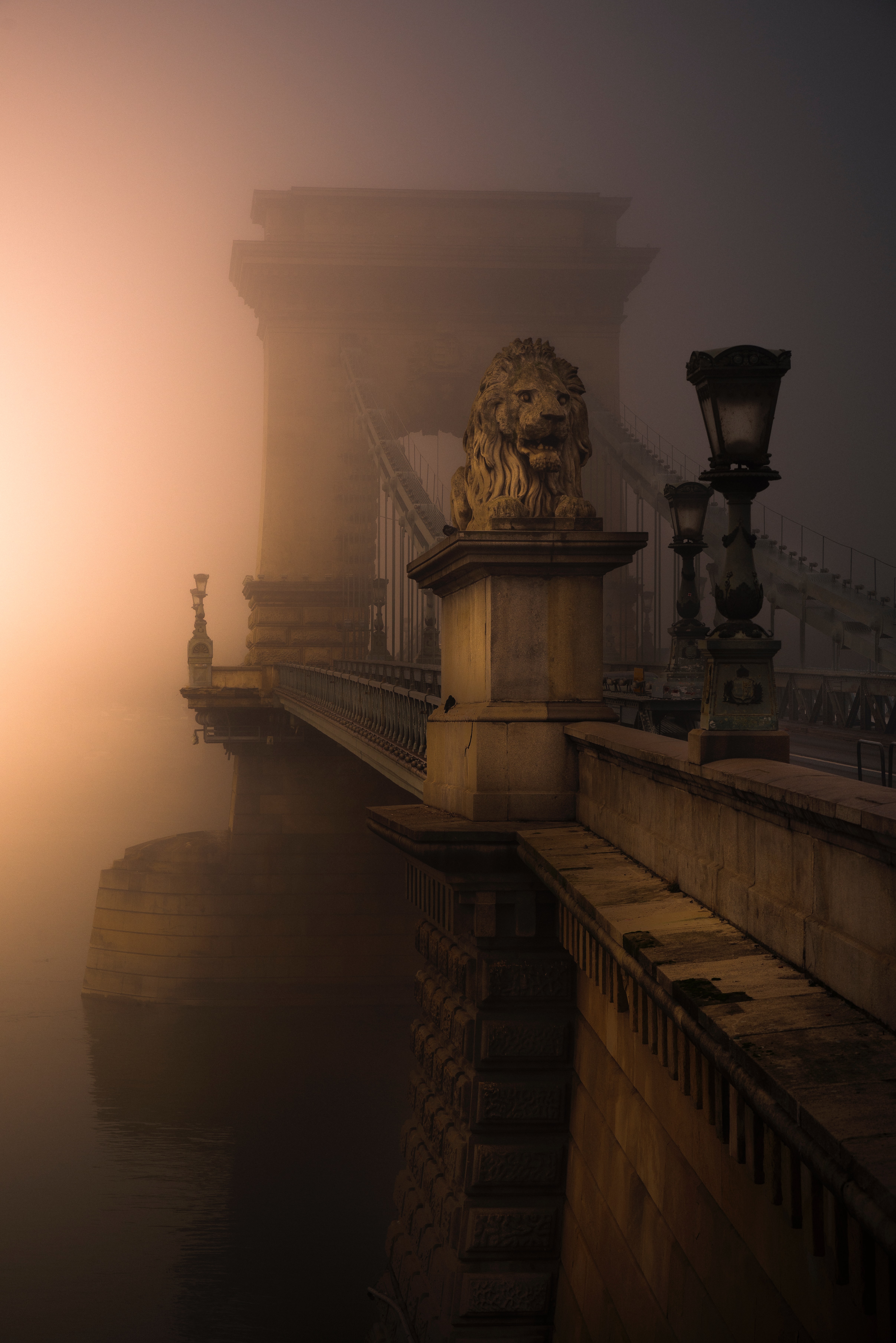 Golden Guardian, Budapest, Chain Bridge, Hungary by Daniel Olah