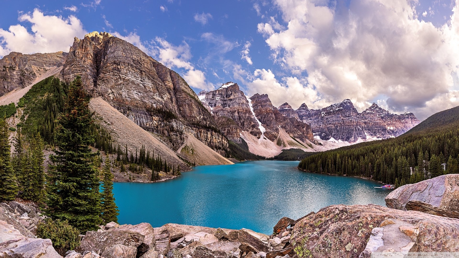 tree Canada lake nature Moraine Lake Image