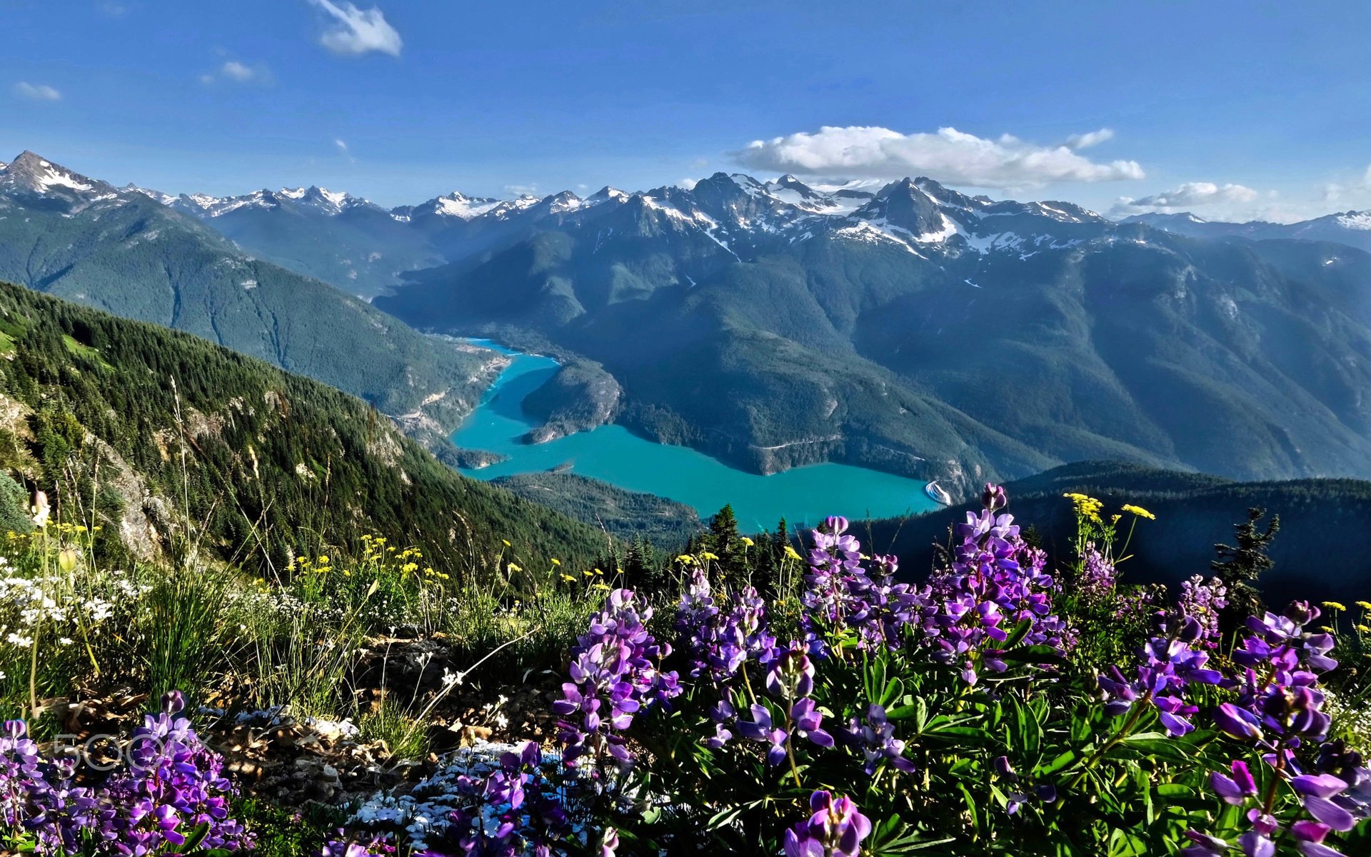 Download Flower Mountain Lake Diablo Nature Landscape Image