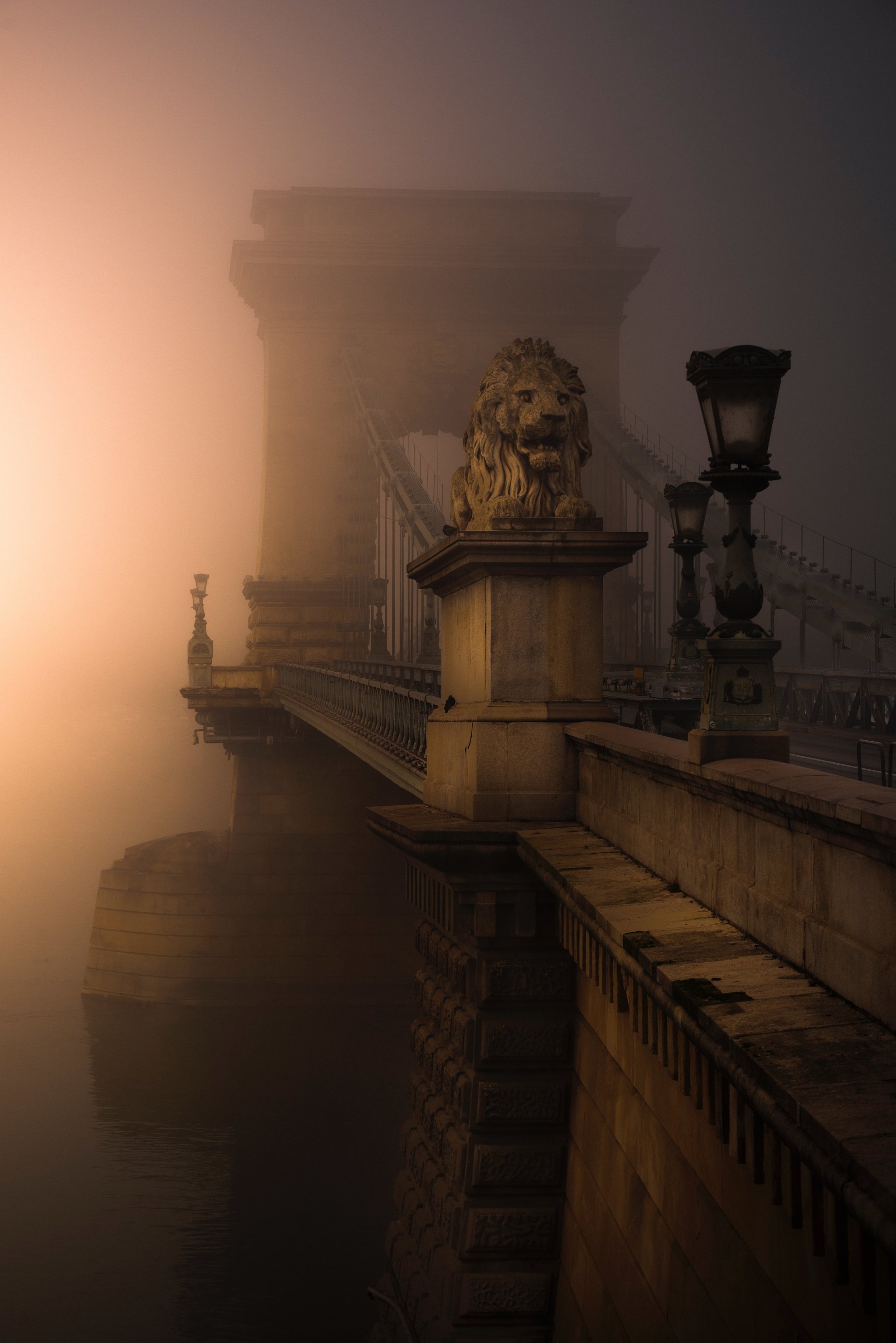  Golden Guardian, Budapest, Chain Bridge, Hungary by Daniel Olah