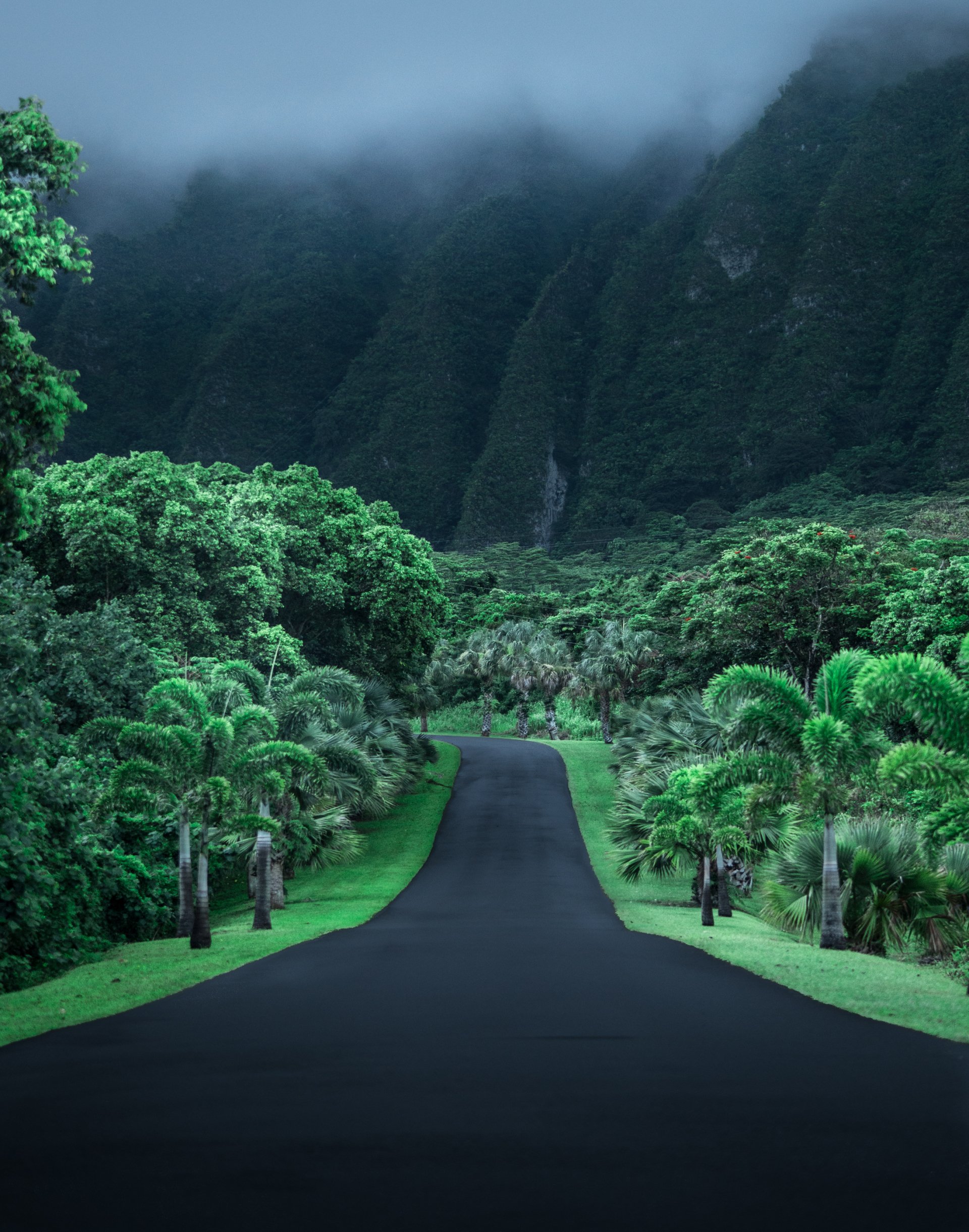  Empty Road in Hawaii by Cath Simard